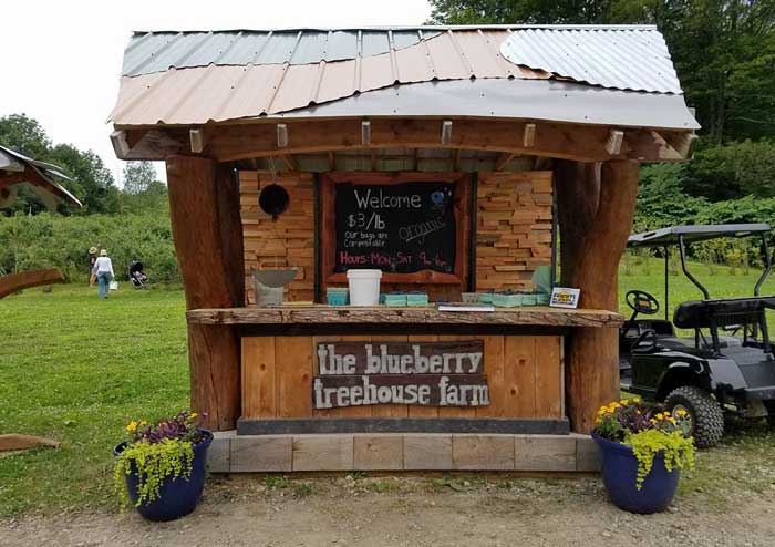 Read more about the article Blueberry Treehouse Farm